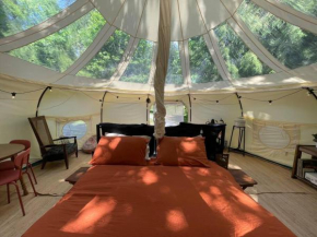The Hideout - Stargazing Glamping Swim Oasis